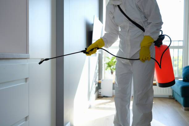 Best Mold Remediation for Specific Building Types in Sabina, OH